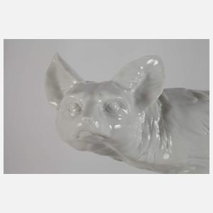 Scheibe-Alsbach Fuchs