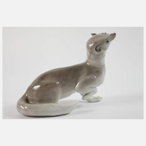 Thüringen Hermelin und Schafbock