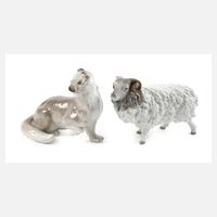 Thüringen Hermelin und Schafbock111