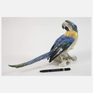 Karl Ens Volkstedt Gelbbrustara und Buchfink