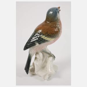 Karl Ens Volkstedt Gelbbrustara und Buchfink