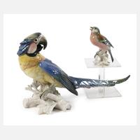 Karl Ens Volkstedt Gelbbrustara und Buchfink111