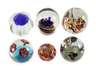 Sammlung sechs Paperweights