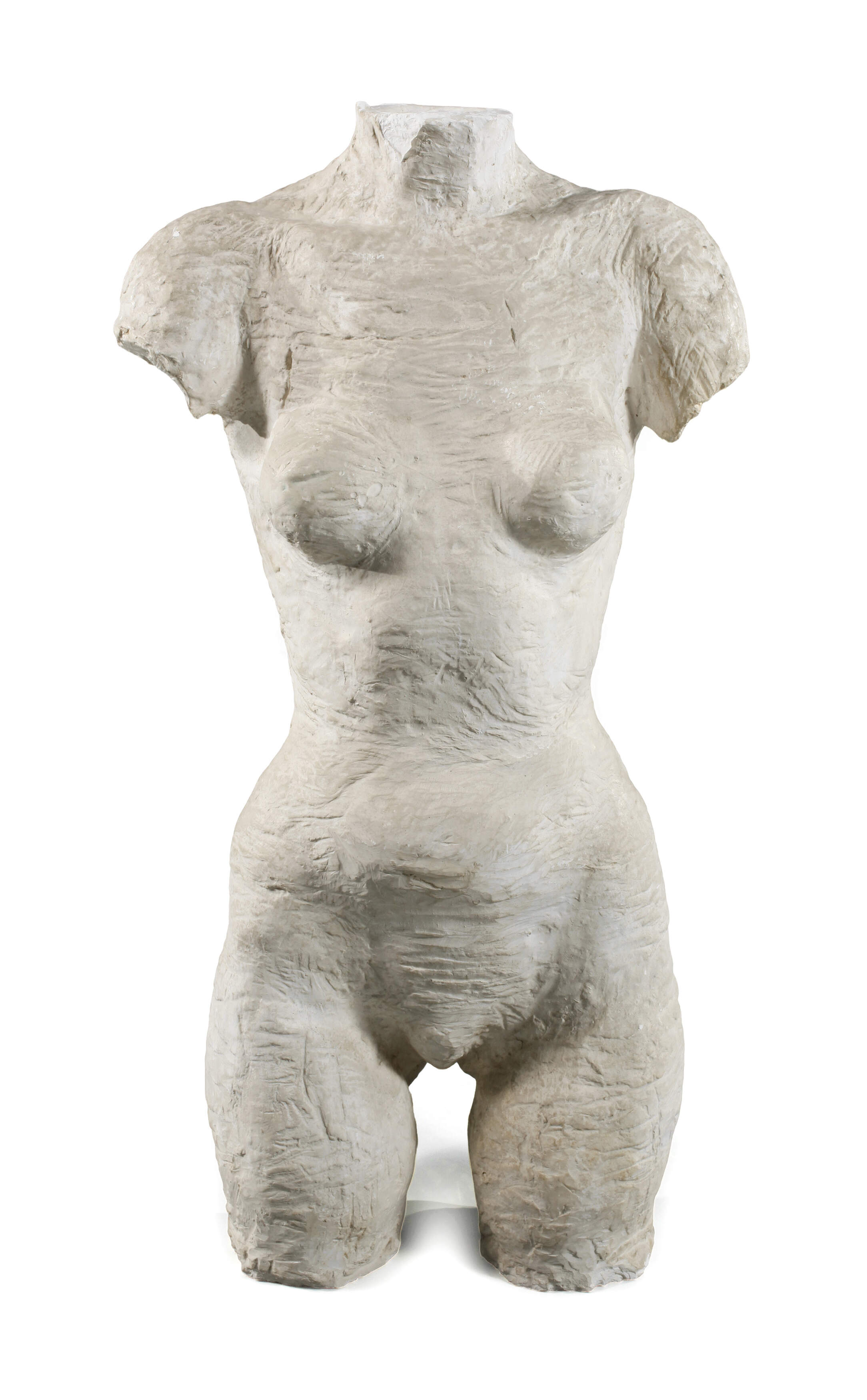 Moderner weiblicher Torso