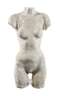 Moderner weiblicher Torso