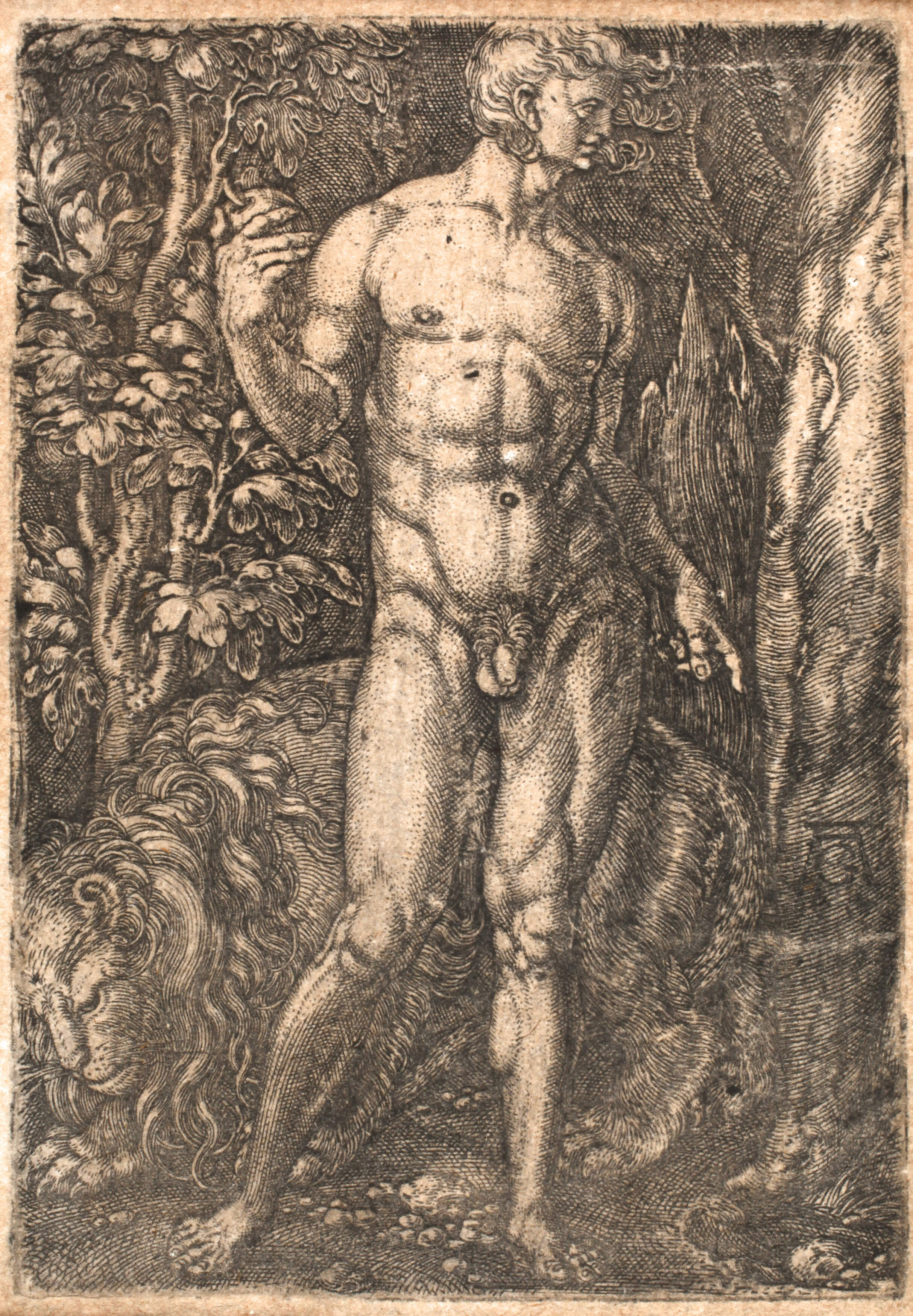 Heinrich Aldegrever, Adam mit Löwen