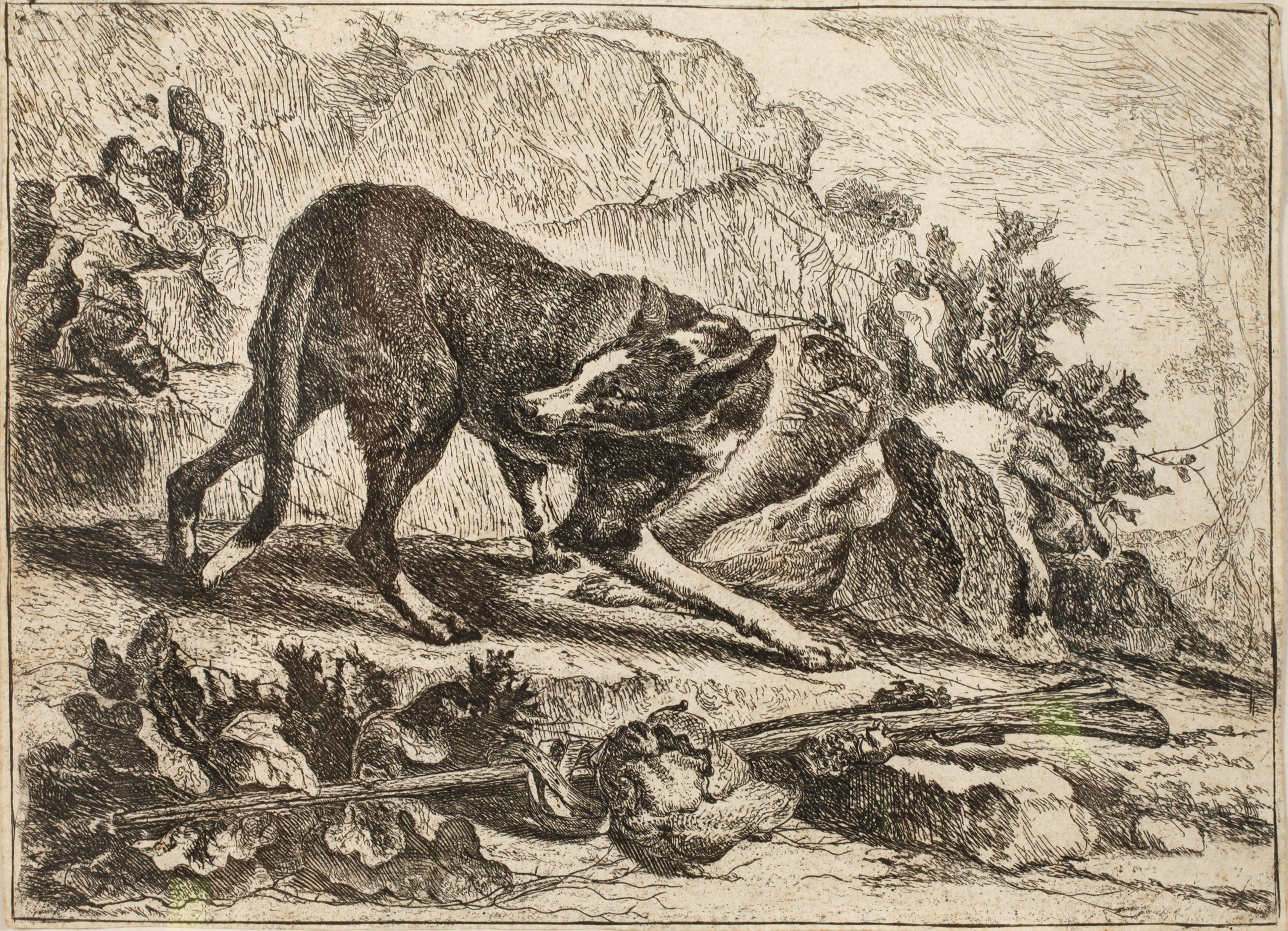 Jan Fyt, "Der sich umblickende Hund"