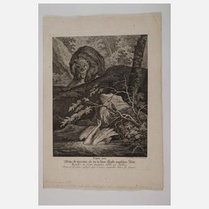 Johann Elias Ridinger, Graphiksammlung