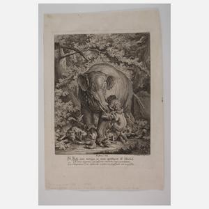 Johann Elias Ridinger, Graphiksammlung