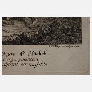 Johann Elias Ridinger, Graphiksammlung