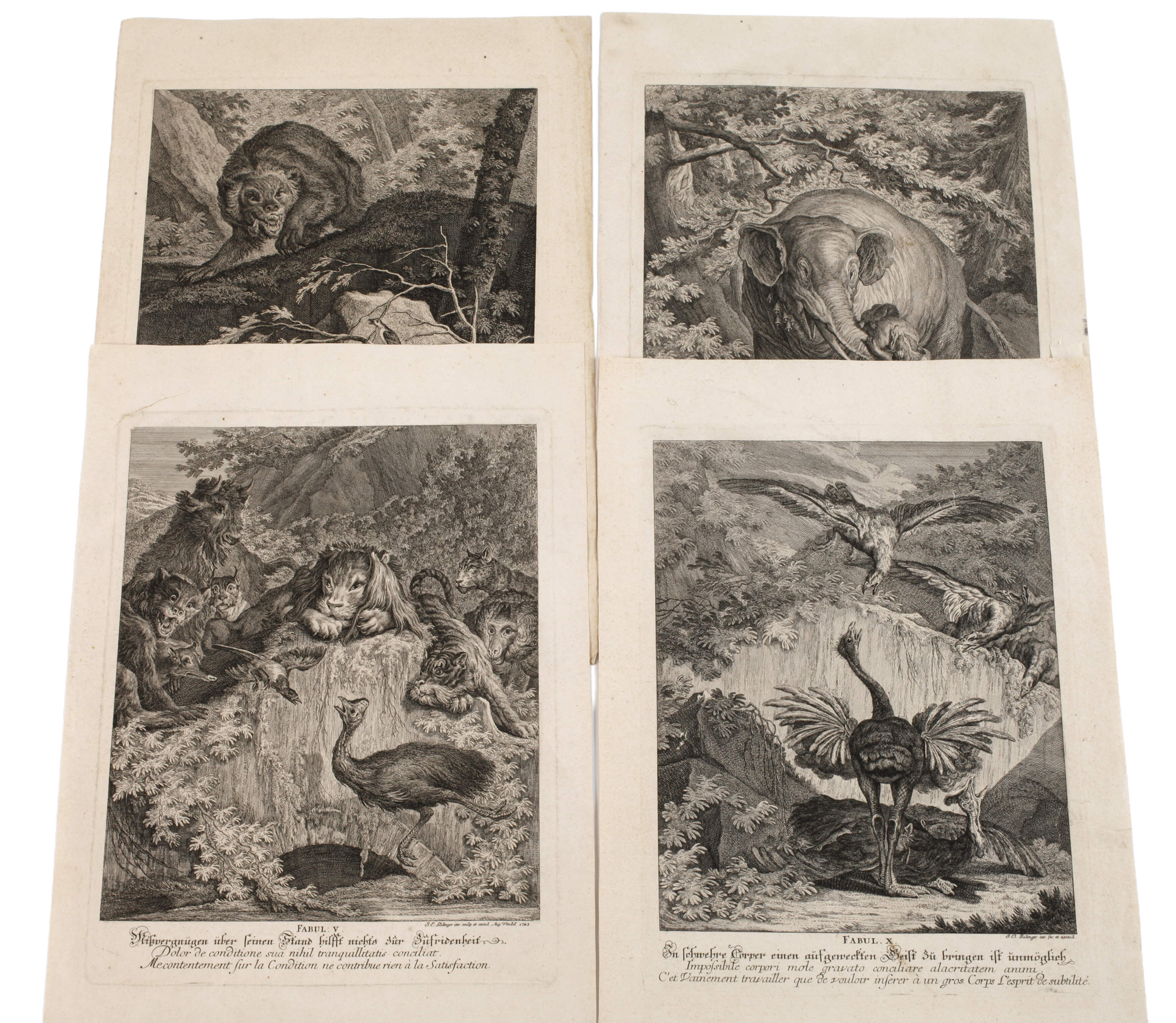 Johann Elias Ridinger, Graphiksammlung