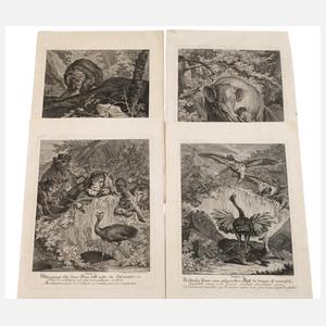 Johann Elias Ridinger, Graphiksammlung