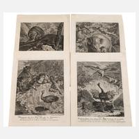 Johann Elias Ridinger, Graphiksammlung111