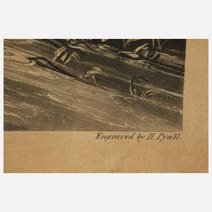 Henry Pyall, Konvolut Pferdedarstellungen