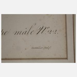 Auf einem Ast sitzender Wiedehopf