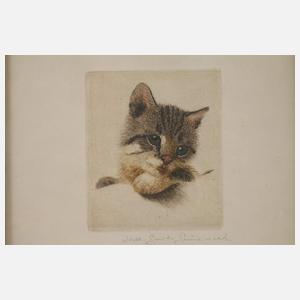 Noell Guido Grünewald, Paar Katzenportraits