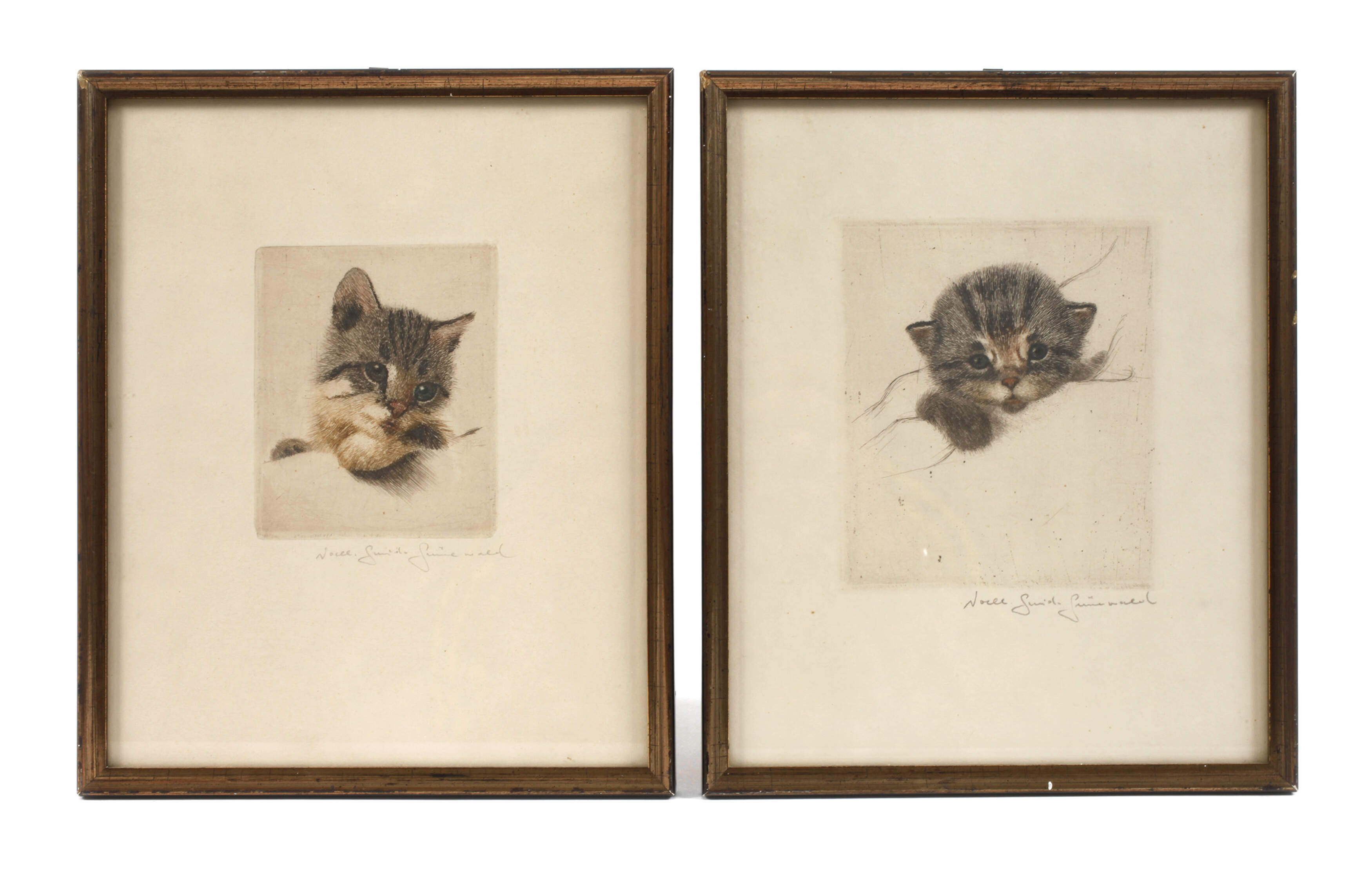 Noell Guido Grünewald, Paar Katzenportraits