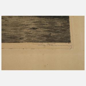 Luigi Kasimir, Der Stephansdom in Wien