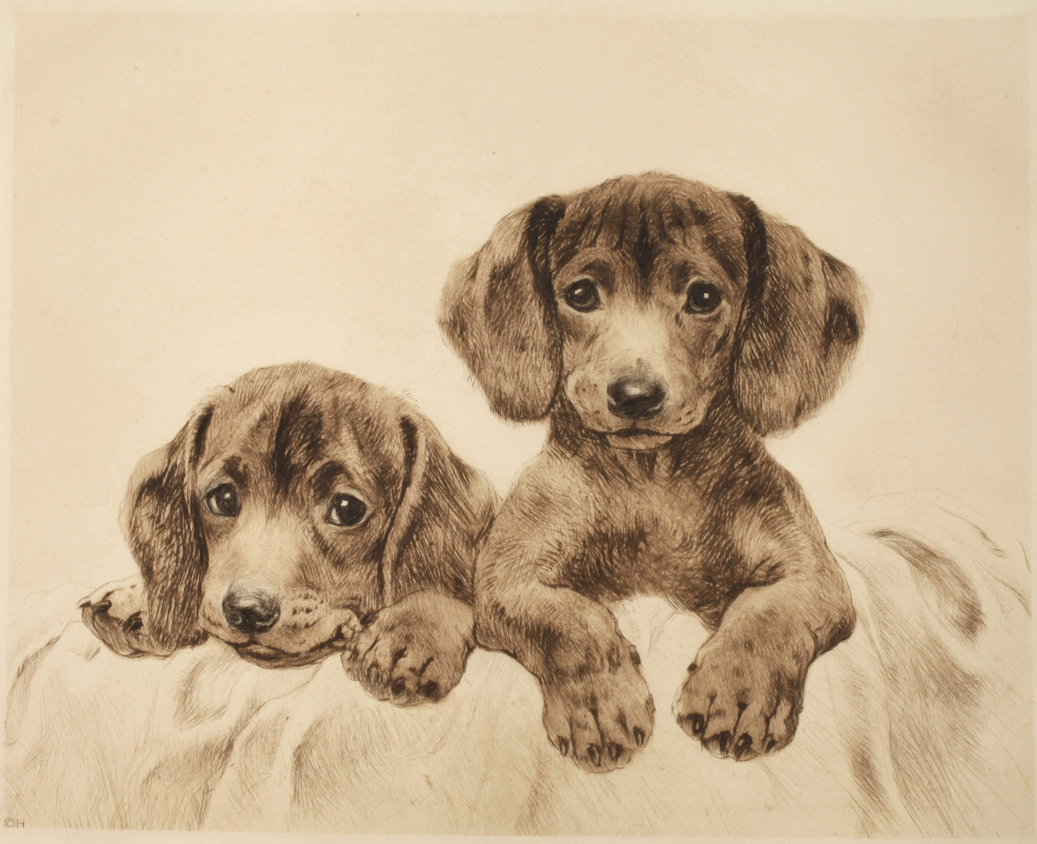 Kurt Meyer-Eberhardt, Zwei Hundewelpen