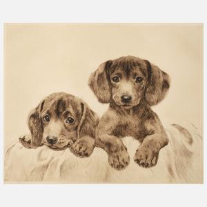 Kurt Meyer-Eberhardt, Zwei Hundewelpen