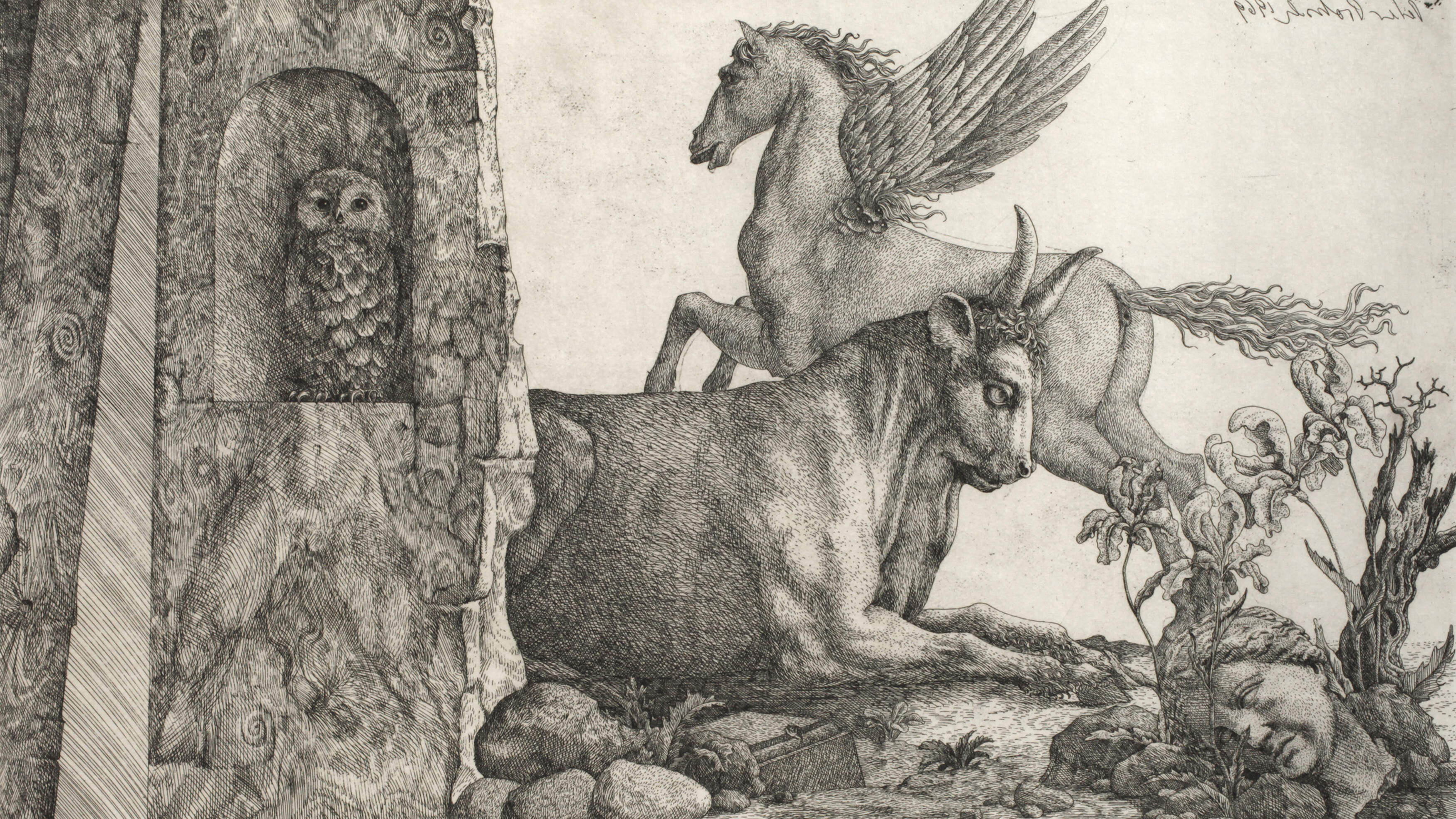 Peter Proksch, "Eule, Stier und Pegasus"