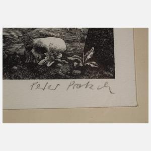 Peter Proksch, Die Lebensalter