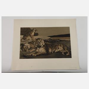 Graphikkonvolut Wien um 1900