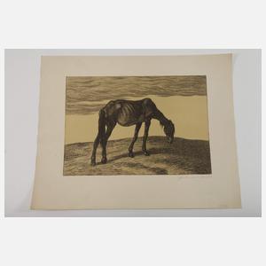 Graphikkonvolut Wien um 1900