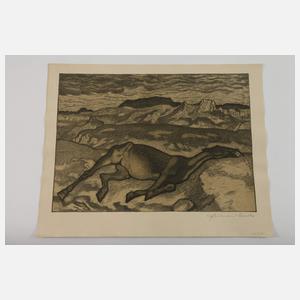 Graphikkonvolut Wien um 1900