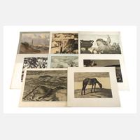 Graphikkonvolut Wien um 1900111