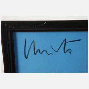 Christo & Jeanne-Claude, "The Umbrellas"