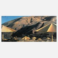 Christo & Jeanne-Claude, "The Umbrellas"111