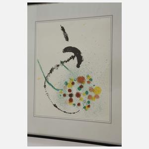 Joan Miró, Graphikkonvolut