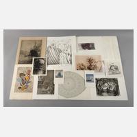 Umfangreiche Graphiksammlung 20./21. Jh.111