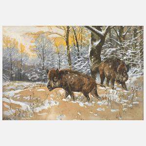 Eduard Heller, Wildschweine im Winterwald
