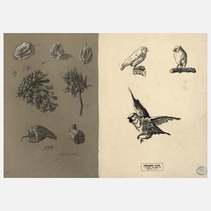 Friedrich Kotz, Paar Studienblätter