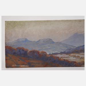 Pedro Ernst Schmiegelow, "Wasserkippe Rhön"