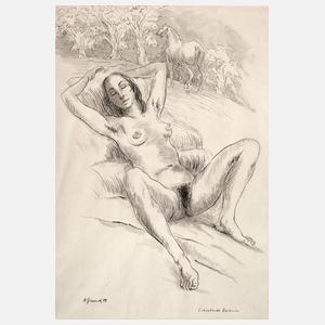 Reiner Zimnik, "Schlafende Reiterin"