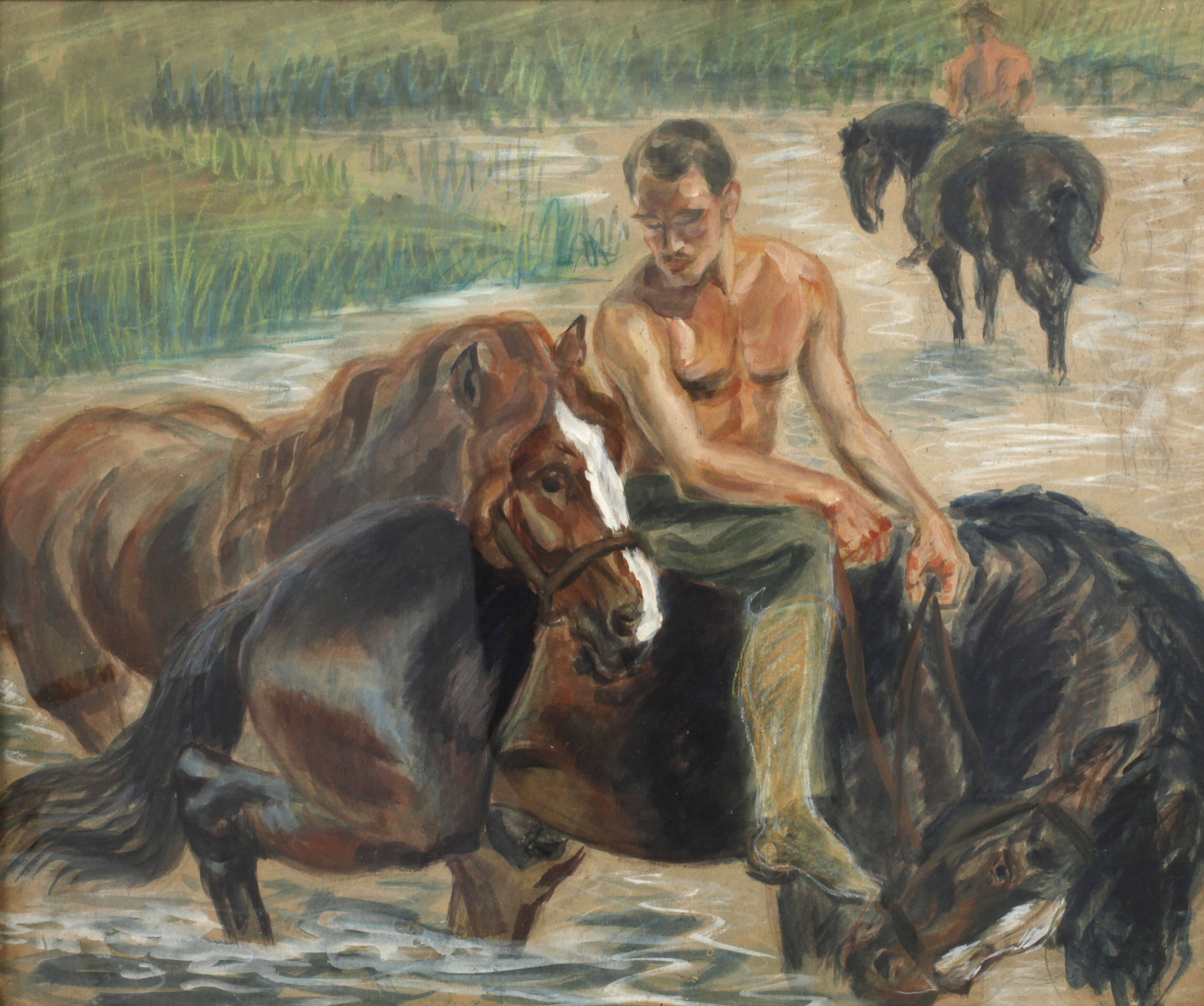 Pferde in der Schwemme