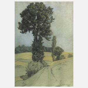 Karl Hänsel, Weg zwischen Feldern