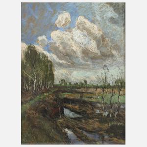 Carl Theodor Meyer-Basel, "Haspelmoor"