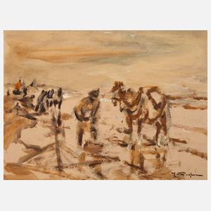 Julius Seyler, Krevettenfischer