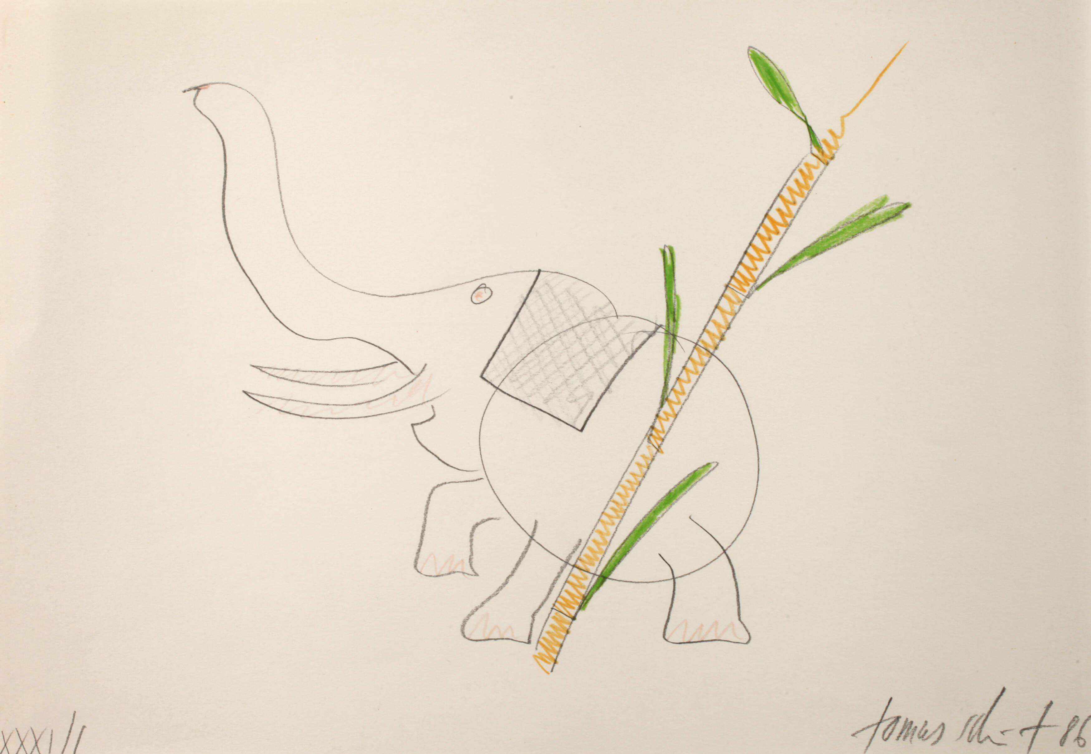 Tomas Schmit, Elefant und Baum