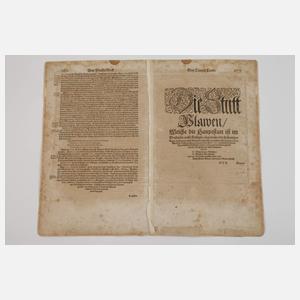 Sebastian Münster, Ansicht von Plauen