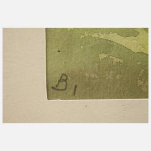 Willy Becker, Paar Erzgebirgsansichten