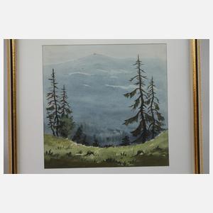 Willy Becker, Paar Erzgebirgsansichten