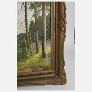 Manfred Feiler, Talsperre Pirk