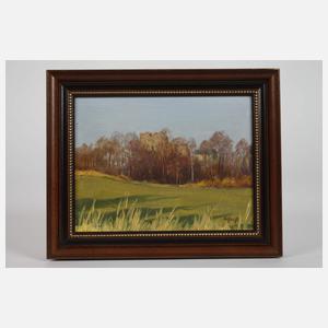 Siegfried Hauffe, Ruine Burgstein