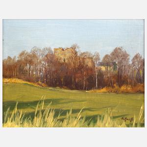 Siegfried Hauffe, Ruine Burgstein