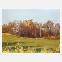 Siegfried Hauffe, Ruine Burgstein111